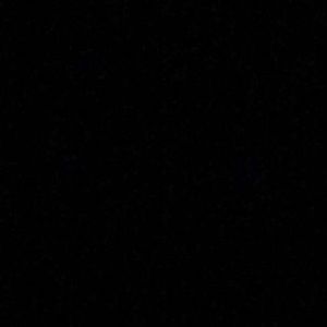 Meet your Posher, Dora